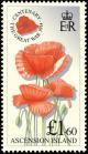 Colnect-2324-463-Scarlet-Corn-Poppy.jpg