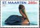Colnect-2624-001-Brown-Pelican-Pelecanus-occidentalis.jpg
