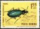 Colnect-4318-482-Ground-Beetle-Carabus-fabricii-malachiticus.jpg