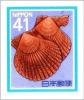 Colnect-2862-515-Noble-Scallop-Chlamys-Nobilis.jpg