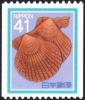 Colnect-2608-923-Noble-Scallop-Chlamys-nobilis.jpg