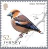 Colnect-6055-578-Hawfinch-Coccothraustes-coccothraustes.jpg