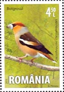Colnect-2512-948-Hawfinch-Coccothraustes-coccothraustes.jpg