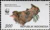 Colnect-1089-562-Sumatran-Rhinoceros-Dicerorhinus-sumatrensis.jpg
