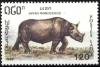 Colnect-2853-494-Javan-Rhinoceros-Rhinoceros-sondaicus.jpg