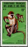Colnect-792-355-Grivet-Cercopithecus-aethiops.jpg