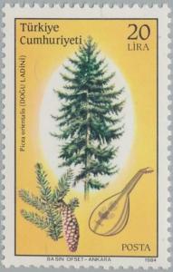 Colnect-2606-622-Oriental-Spruce-Picea-orientalis-Stringed-Instrument.jpg