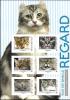 Colnect-3944-763-Faces-of-Cats---blue.jpg