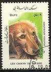 Colnect-1186-490-Long-haired-dachshund-Canis-lupus-familiaris.jpg