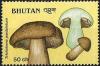 Colnect-2930-745-Tricholoma-pardalotum.jpg