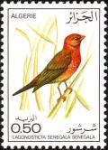 Colnect-1650-670-Red-billed-Firefinch-Lagonosticta-senegala-senegala.jpg