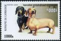 Colnect-4091-371-Short-haired-Dachshund-Canis-lupus-familiaris.jpg