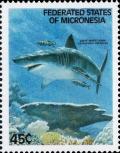 Colnect-5470-348-Carcharodon-carcharias.jpg