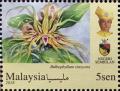 Colnect-5906-820-Orchids-of-Malaysia.jpg