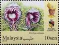 Colnect-5906-821-Orchids-of-Malaysia.jpg