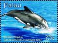 Colnect-5920-254-Chilean-dolphin.jpg