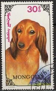 Colnect-1249-885-Long-haired-Dachshund-Canis-lupus-familiaris.jpg