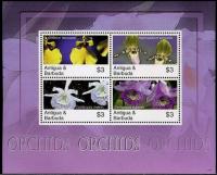Colnect-1774-734-Orchids---Minisheet.jpg