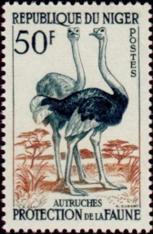 Colnect-522-466-Ostrich-Struthio-camelus.jpg