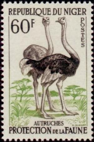 Colnect-522-467-Ostrich-Struthio-camelus.jpg