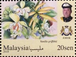 Colnect-5868-886-Orchids-of-Malaysia.jpg