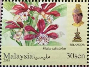 Colnect-5991-932-Orchids-of-Malaysia.jpg