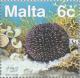 Colnect-131-346-Purple-Sea-Urchin-Sphaerecinus-granularis.jpg