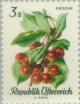 Colnect-136-620-Wild-Cherry-Prunus-avium.jpg
