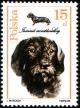 Colnect-1988-452-Wire-haired-Dachshund-Canis-lupus-familiaris.jpg