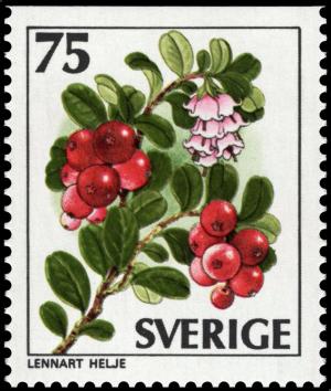 Colnect-4337-587-Vaccinium-vitis-idaea.jpg