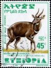 Colnect-2806-875-Menelik--s-Bushbuck-Tragelaphus-scriptus-meneliki.jpg