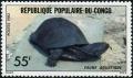 Colnect-2266-909-East-African-Black-Mud-Turtle-Pelusios-subniger.jpg