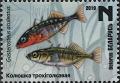 Colnect-5996-002-Three-Spined-Stickleback-Gasterosteus-aculeatus.jpg