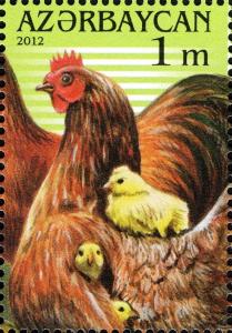 Colnect-1603-772-Hen-with-Chick-Gallus-gallus-domesticus.jpg