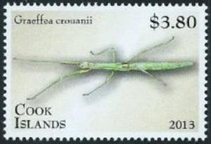 Colnect-3368-282-Coconut-Stick-Insect-Graeffea-crouanii.jpg