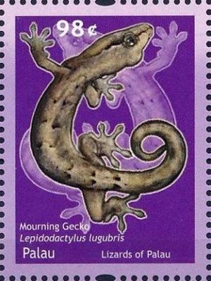 Colnect-4950-882-Mourning-Gecko-Lepidodactylus-lugubris.jpg