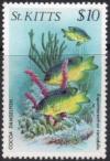 Colnect-3680-270-Cocoa-damselfish.jpg