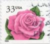 Colnect-6017-539-Coral-Pink-Rose.jpg