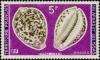 Colnect-792-995-Tiger-Cowrie-Cyprea-tigris.jpg