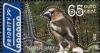 Colnect-830-922-Hawfinch-Coccothraustes-coccothraustes.jpg
