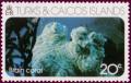 Colnect-1699-145-Brain-Coral-Family-Mussidae.jpg