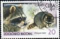 Colnect-1725-671-Raccoon-Procyon-lotor.jpg