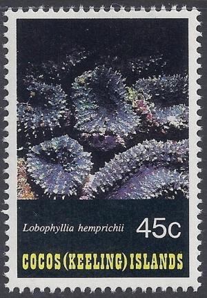 Colnect-1726-033-Lobed-Brain-Coral-Lobophyllia-hemprichii.jpg