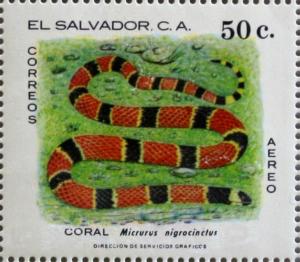 Colnect-2230-587-Central-American-Coral-Snake-Micrurus-nigrocinctus.jpg