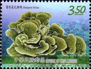 Colnect-2953-209-Cabbage-Coral-Montipora-foliosa.jpg