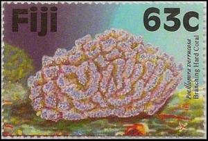 Colnect-3147-040-Cauliflower-Coral-Pocillopora-verrucosa.jpg