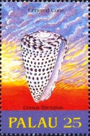 Colnect-3563-137-Conus-litteratus.jpg
