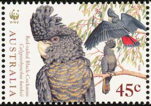 Colnect-604-147-Red-tailed-Black-Cockatoo-Calyptorhynchus-banksii.jpg