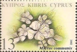 Colnect-618-519-Myrtus-communis-common-myrtle.jpg