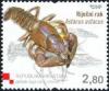 Colnect-389-984-European-Crayfish-Astacus-astacus.jpg